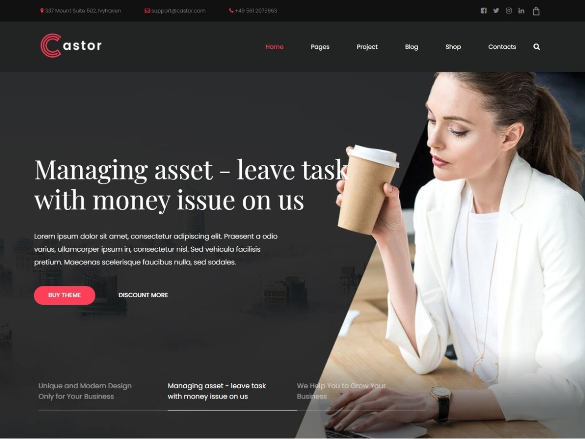 Castor, Premium Quality WordPress Business&nbsp;Theme